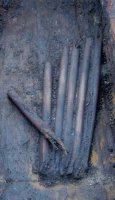 Pipes made of Yew (3rd millenium BC) : set of Drones (?)