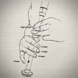 fingers names