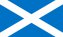 The origins of the Scottish Flag